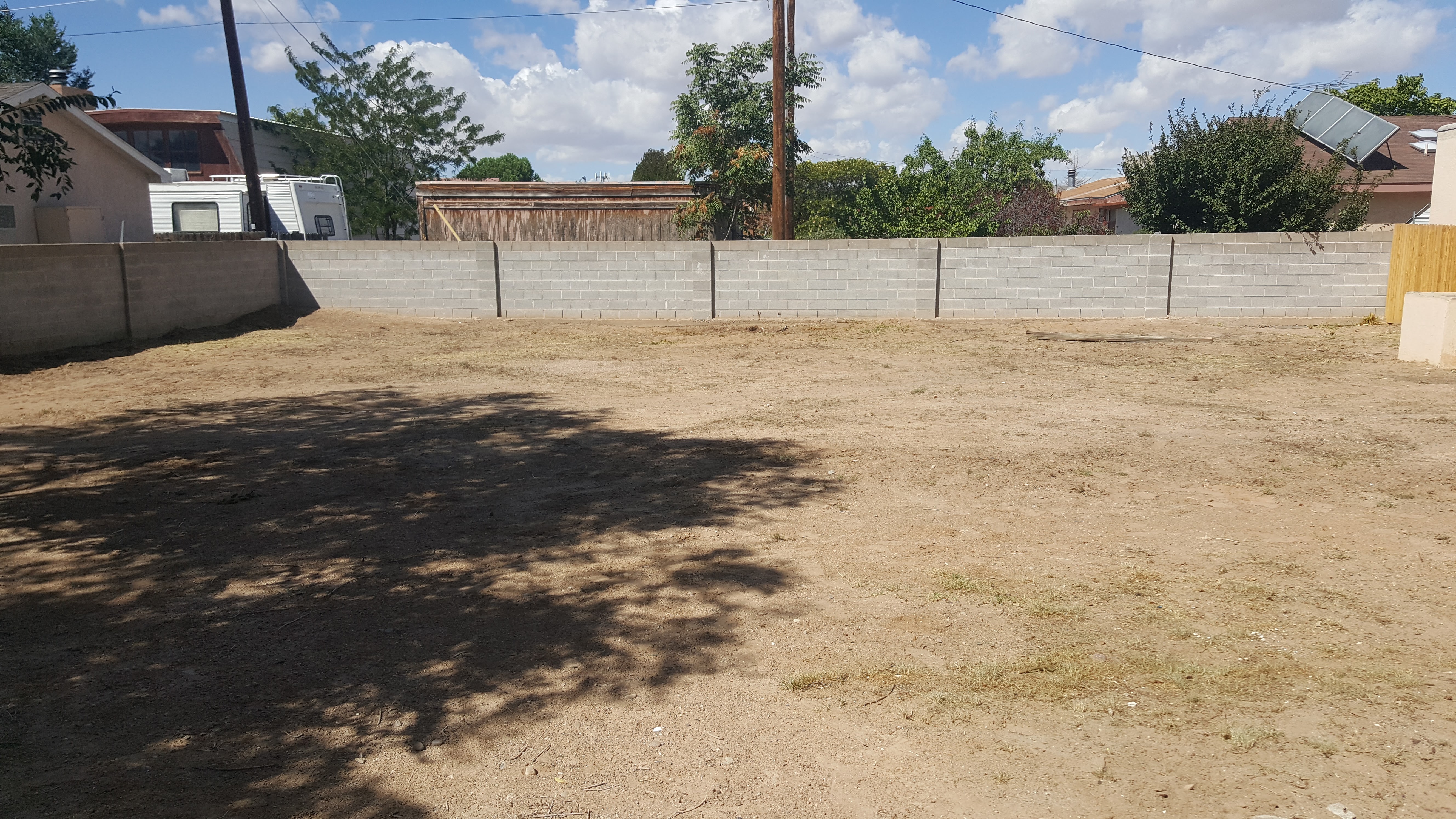 Weed clean-up (after).