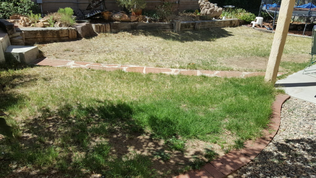 20180611_104912
