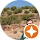 Joseph Straub Avatar